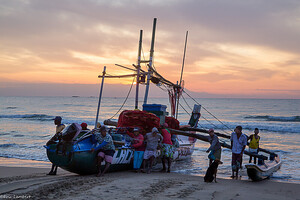 Pêcheurs du Sri Lanka